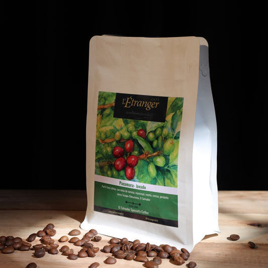 Café L´Étranger - Café de Especialidad de El Salvador - Pacamara Lavado.