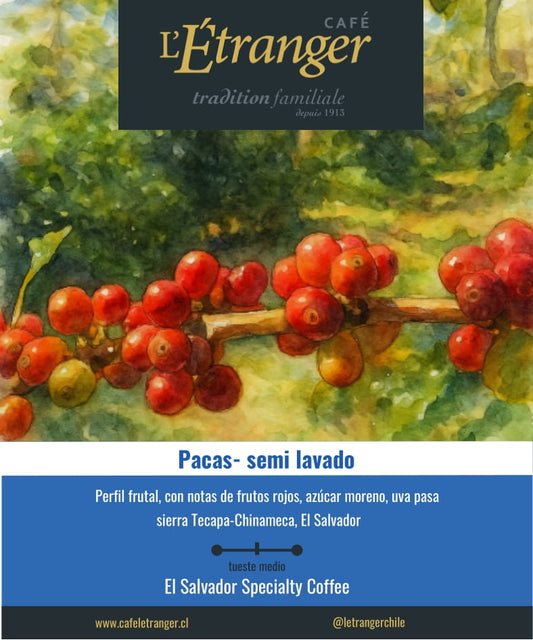 Café Pacas Semi Lavado.