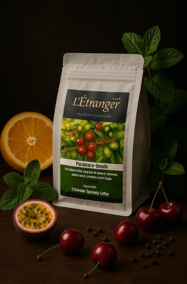 Café Pacamara Lavado.